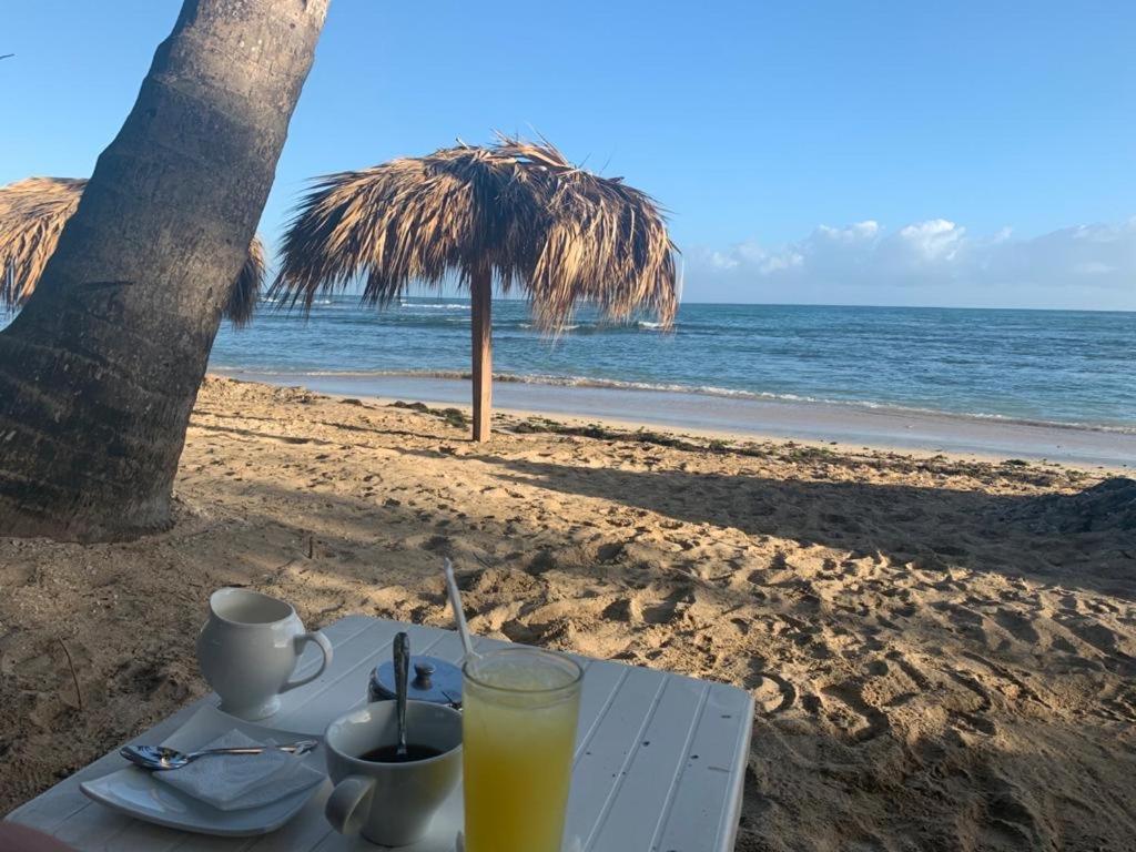Mar Azul 401 Daire Puerto Plata Dış mekan fotoğraf